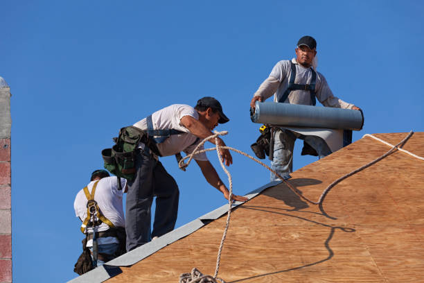 Professional Roofing Contractor in Earlysville, VA