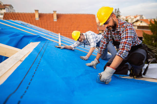 Roof Gutter Cleaning in Earlysville, VA