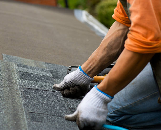 Best Roof Leak Repair  in Earlysville, VA